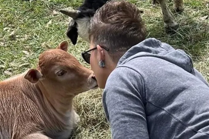 A person sharing a gentle moment with an animal during pet Reiki