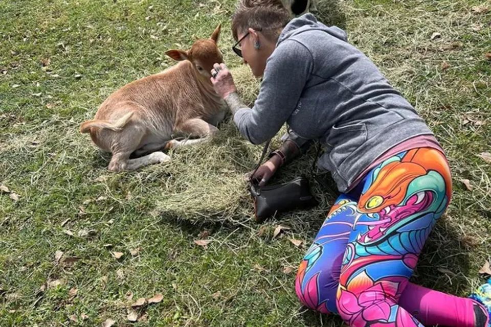 CJ offering Reiki to a calf resting in the grass