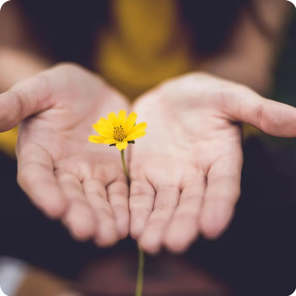 A restful Reiki session in progress at CJ's Reiki Room