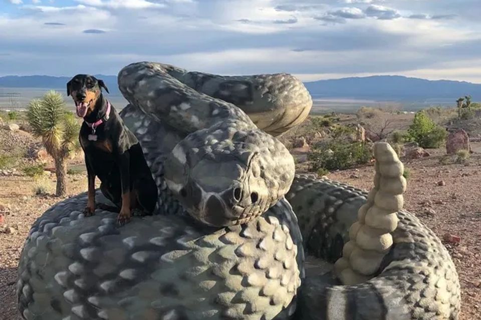 A dog standing on a rock beside a desert snake sculpture